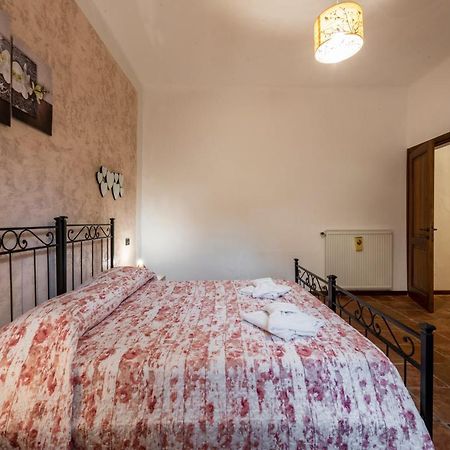 Conce Apartment بيزا المظهر الخارجي الصورة