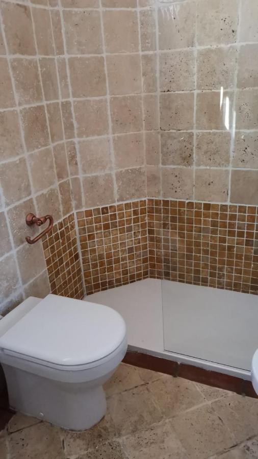 Conce Apartment بيزا المظهر الخارجي الصورة