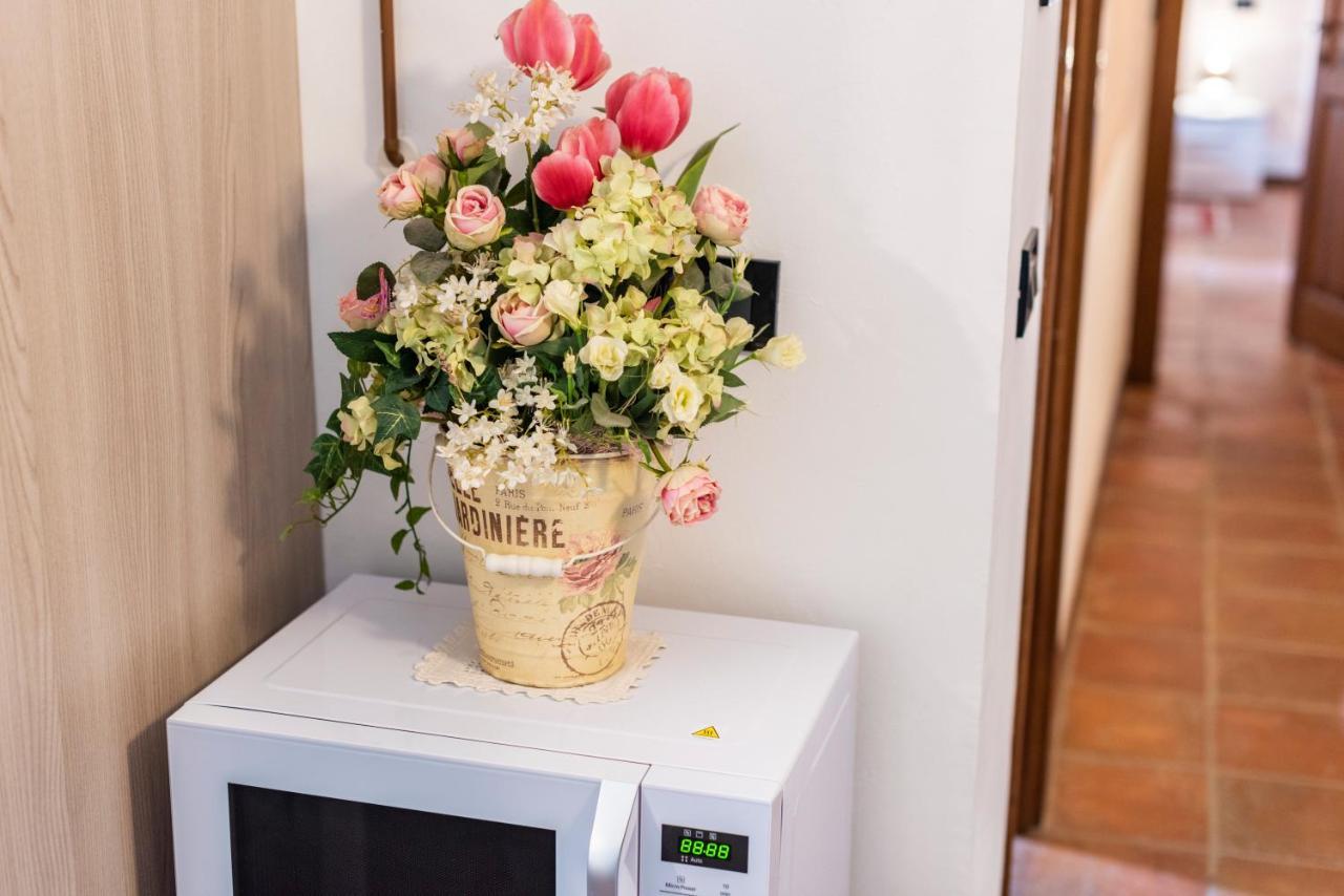 Conce Apartment بيزا المظهر الخارجي الصورة